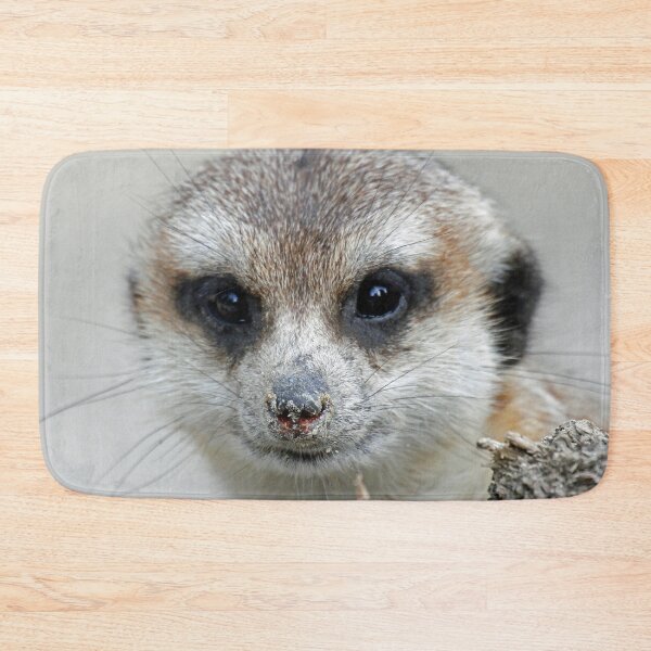 Item preview, Meerkat 070 designed and sold by JAMFoto.