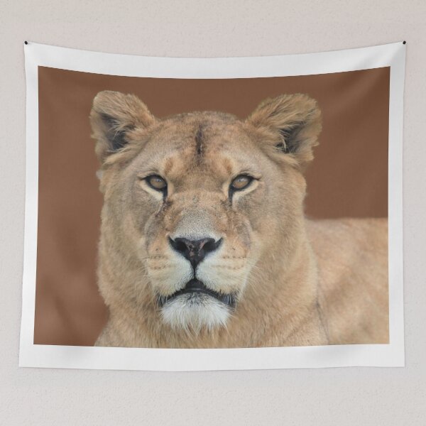 Item preview, A Stunning Lioness designed and sold by Karen Thomson.