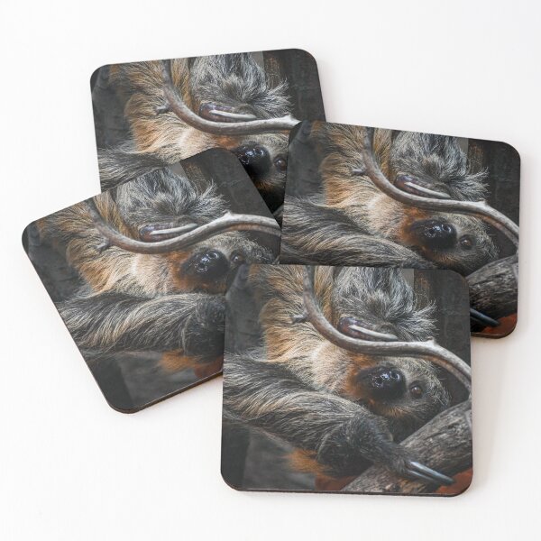 Item preview, Two-toed sloth designed and sold by noahjpphotos.
