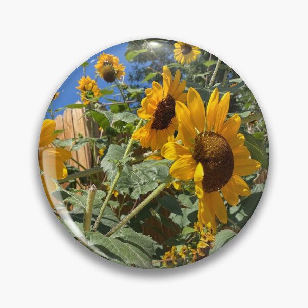Item preview, Sunflower Plant Kansas Midwest Flint Landscape Yellow Flower designed and sold by Midwest-Goods.