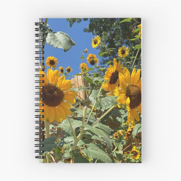 Item preview, Sunflower Plant Kansas Midwest Flint Landscape Yellow Flower designed and sold by Midwest-Goods.