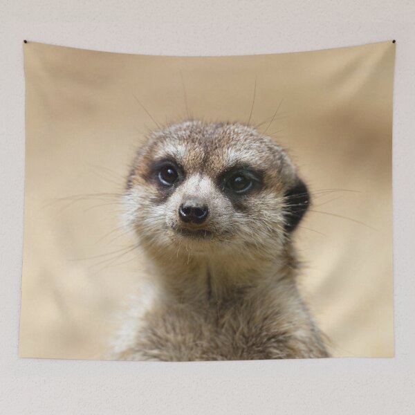 Item preview, Meerkat 069 designed and sold by JAMFoto.