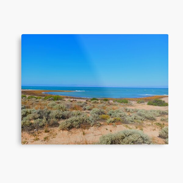 Point Lowly | Eyre Peninsula | South Australia Metal Print