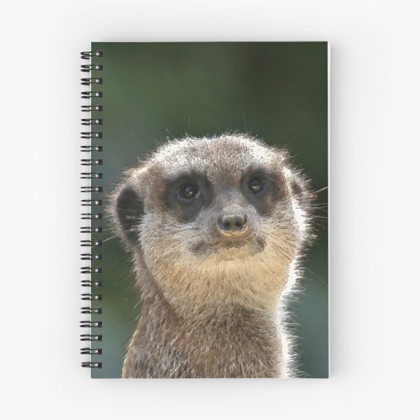 Item preview, Meerkat 068 designed and sold by JAMFoto.