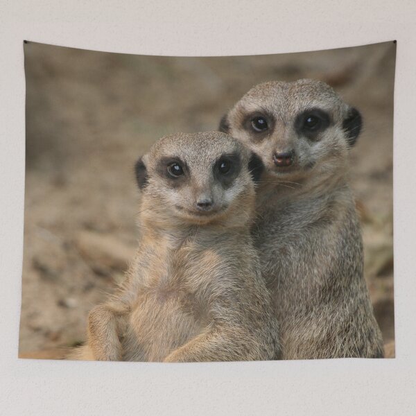 Item preview, Meerkat 067 designed and sold by JAMFoto.