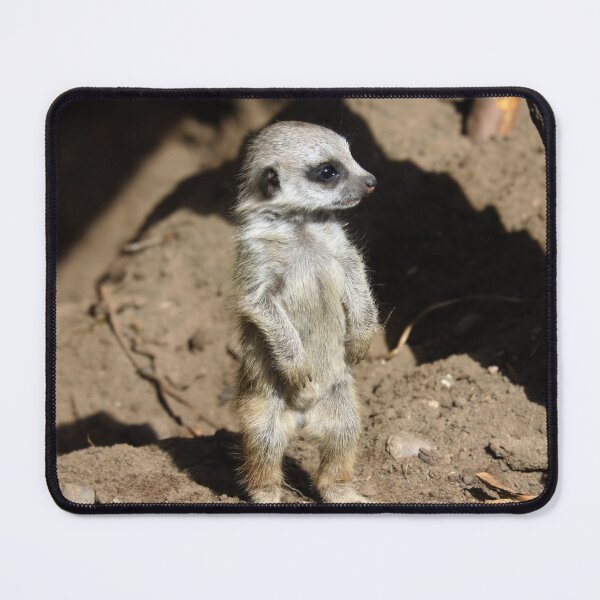 Item preview, Meerkat 063 designed and sold by JAMFoto.