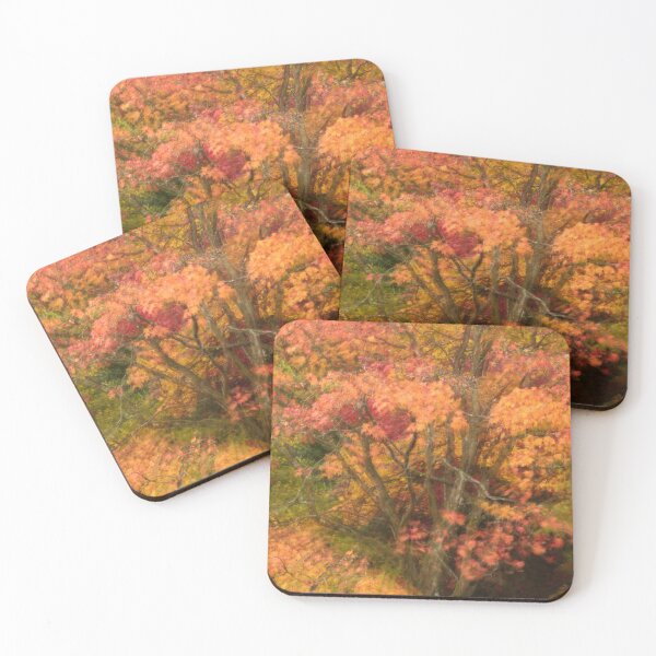 Item preview, Digital photograph of Autumn Colour designed and sold by SimonJohnson1.