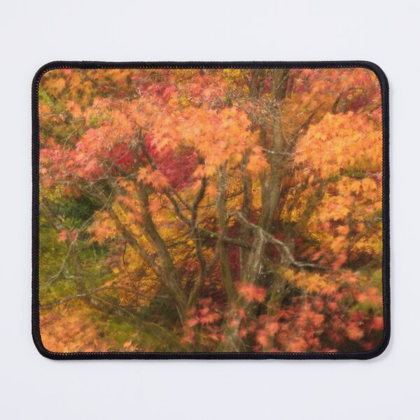 Item preview, Digital photograph of Autumn Colour designed and sold by SimonJohnson1.