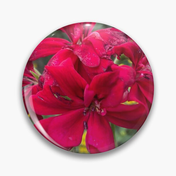 Item preview, Geranium Flowers Gardeners Delight Photography designed and sold by OByD.