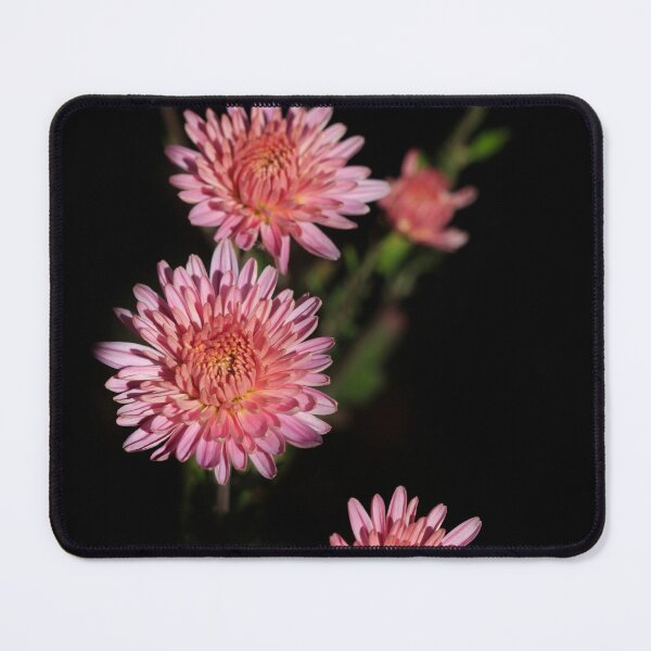 Item preview, Pink flowers on black background  designed and sold by olena2552.