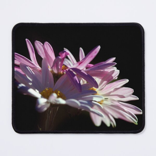 Item preview, Violet flowers on black background designed and sold by olena2552.