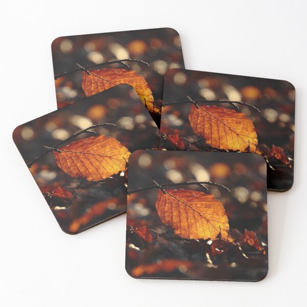 Item preview, Digital photograph of sunlit  Beech leaf designed and sold by SimonJohnson1.
