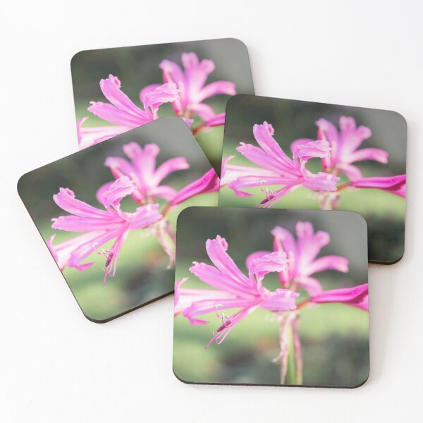Item preview, Nerine designed and sold by JEZ22.