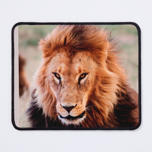 Item preview, lion,animals#luk&artes,animal collection the most beautiful animals on the planet designed and sold by LUK0arts.