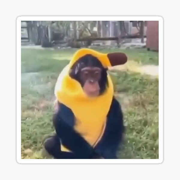 “Monkey In Banana Suit” Sticker for Sale by nickta | Redbubble