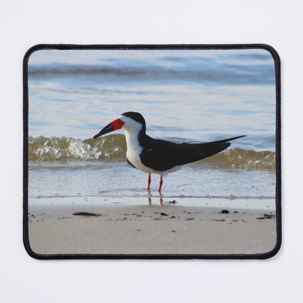 Item preview, Coastal Bird designed and sold by Lens2Canvas.