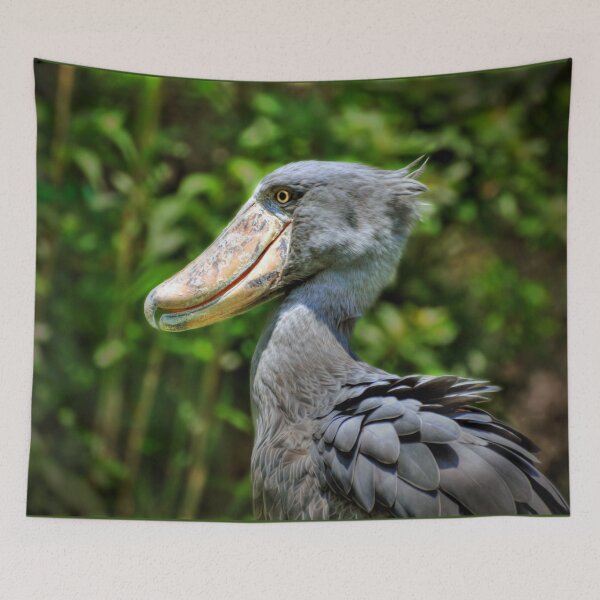 Item preview, Shoebill balaeniceps Rex designed and sold by Savannah Gibbs.