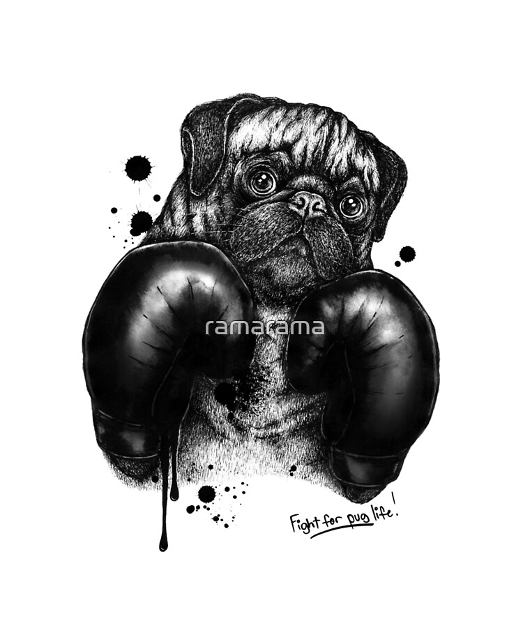 pug boxing gloves