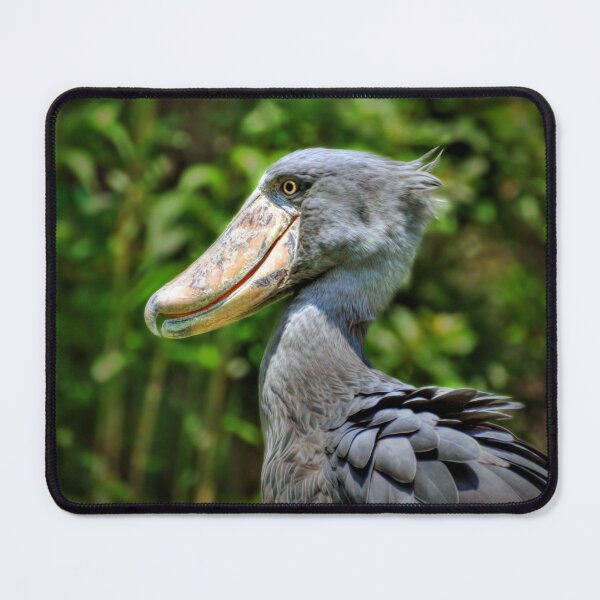 Item preview, Shoebill balaeniceps Rex designed and sold by Savannah Gibbs.