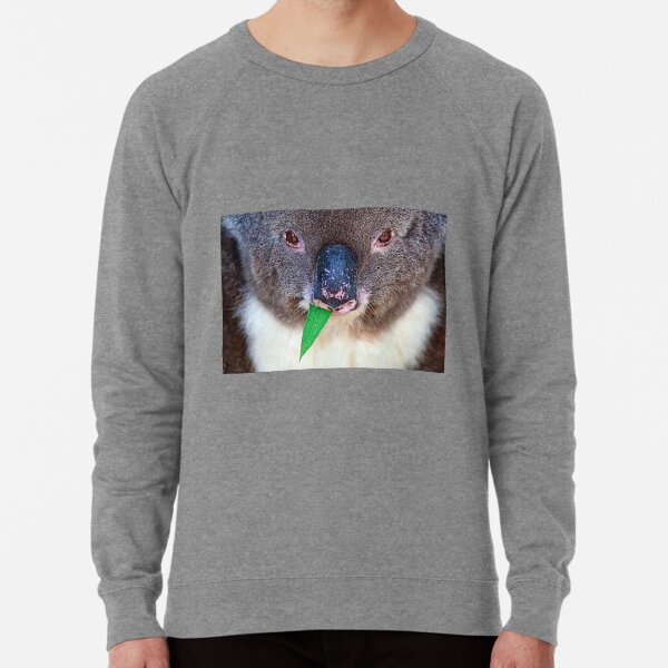 Chewing Gum Lightweight Sweatshirt