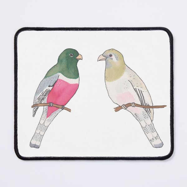 Item preview, Elegant Trogon watercolor bird species art designed and sold by TheWaterBirds.