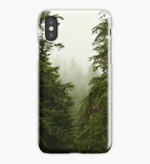 Clearing iPhone Case