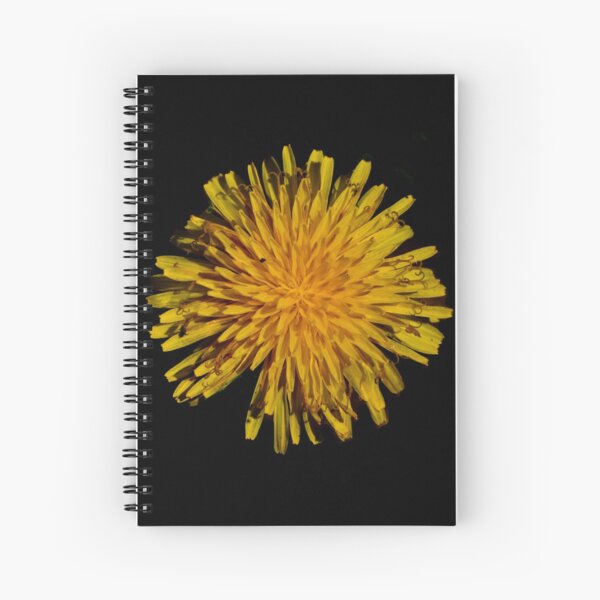 Yellow dandelion flower blooming Spiral Notebook