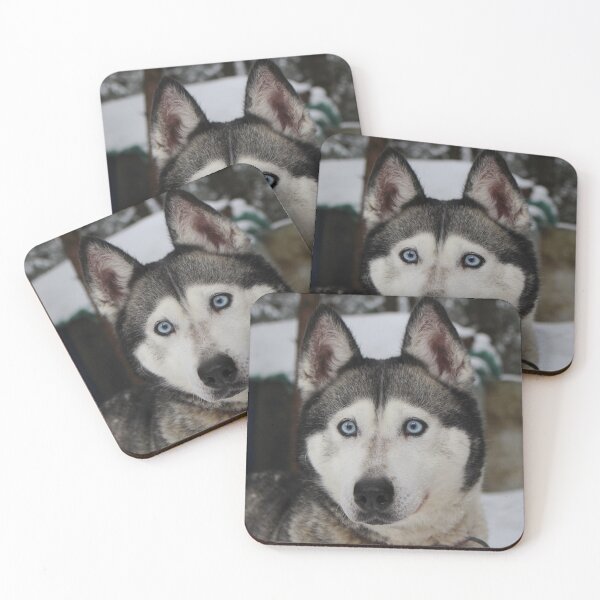 Item preview, wolf of  snow,animals#luk&artes,animal collection the most beautiful animals on the planet designed and sold by LUK0arts.