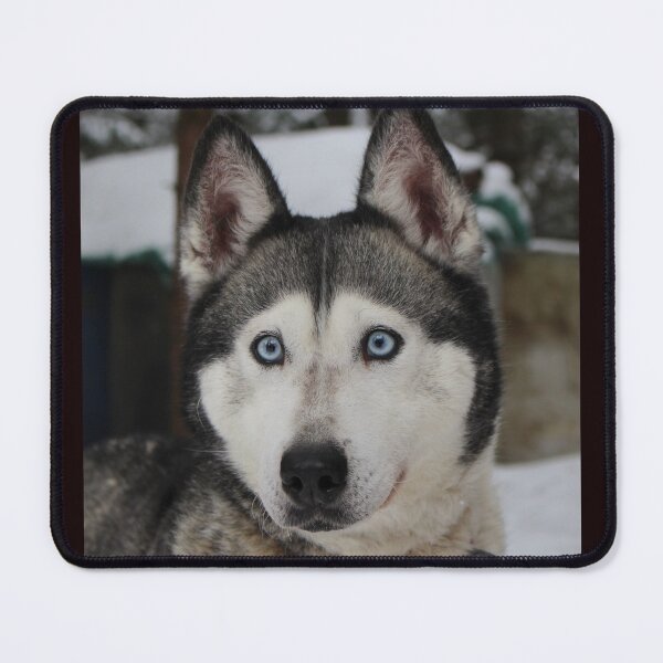 Item preview, wolf of  snow,animals#luk&artes,animal collection the most beautiful animals on the planet designed and sold by LUK0arts.