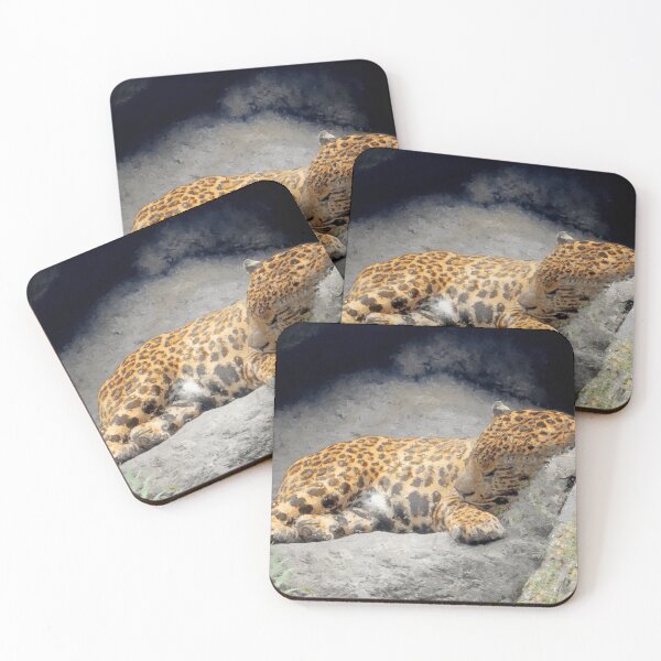 Aperçu de l'œuvre Jaguar du Costa Rica créée et vendue par puravidavisions.