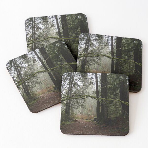 Item preview, Forest Path in Vancouver's Temperate Rainforest designed and sold by Georgia Mizuleva.