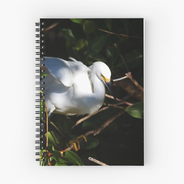 Item preview, Delightful Vulnerability designed and sold by Michiale.