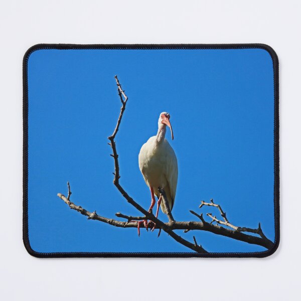 Item preview, Bayside Darling designed and sold by Michiale.