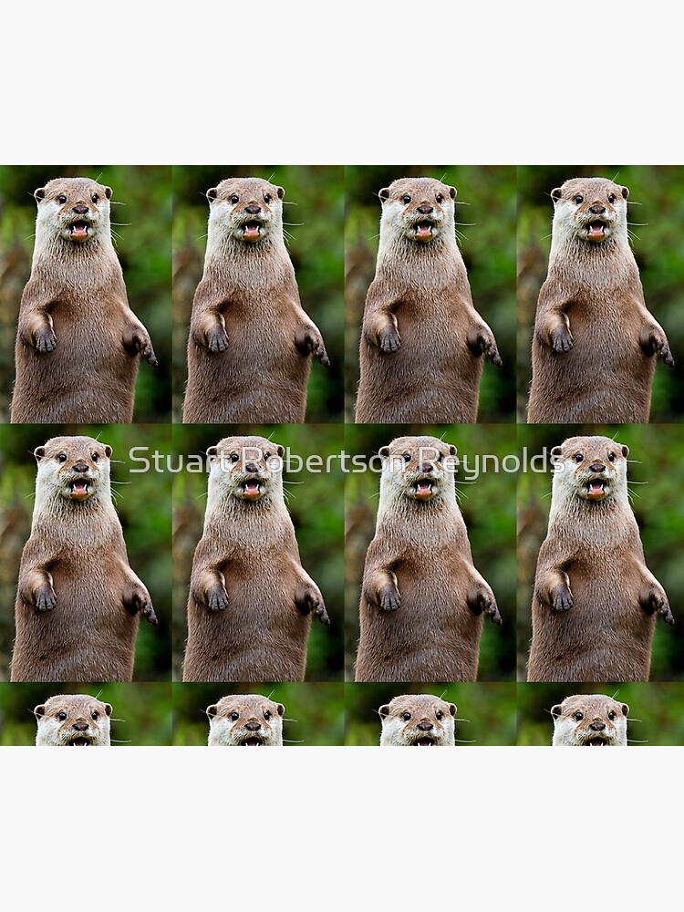 Otter by Sparky2000