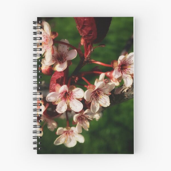 Item preview, Apple Blossoms designed and sold by NearScapes.