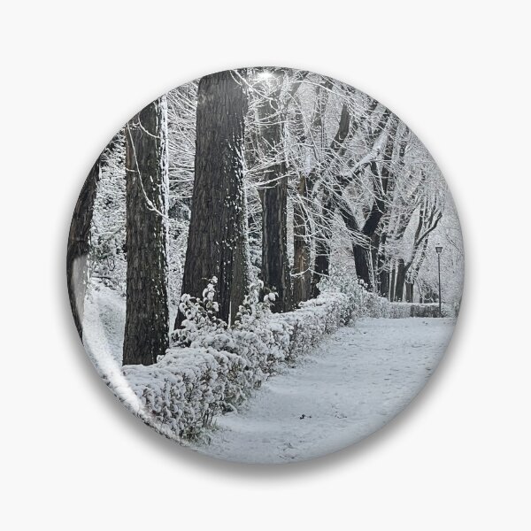 Item preview, Path in Nevado Park designed and sold by Saky08.