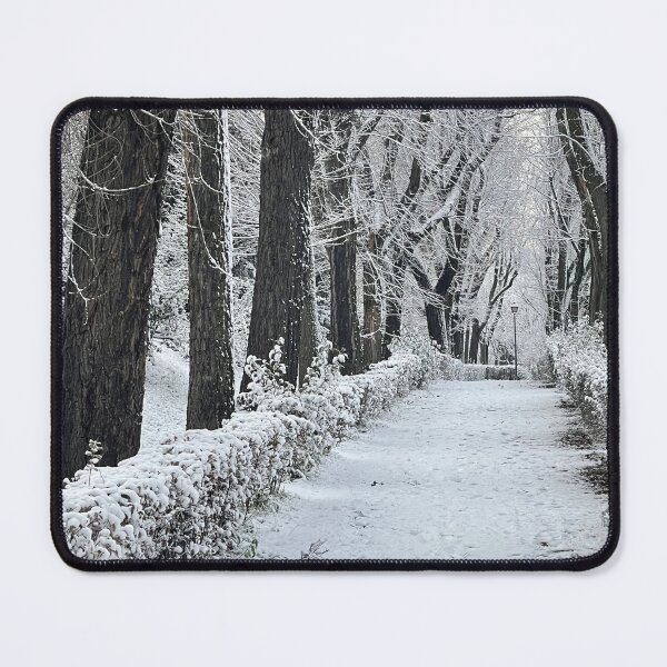 Item preview, Path in Nevado Park designed and sold by Saky08.