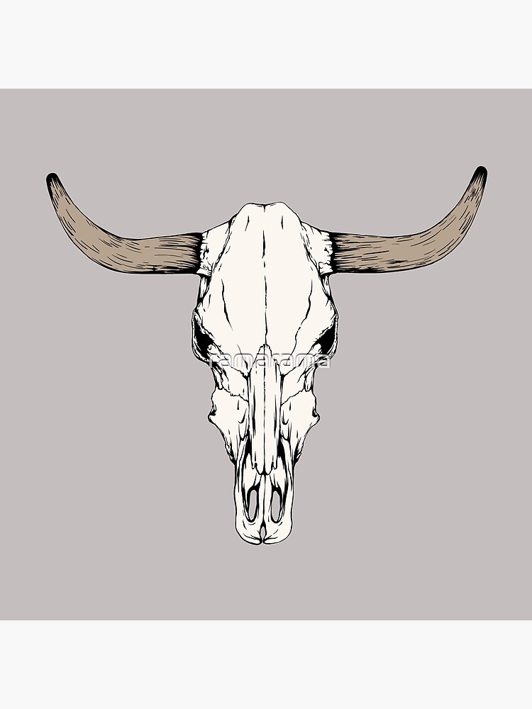 Cow Skull by ramarama