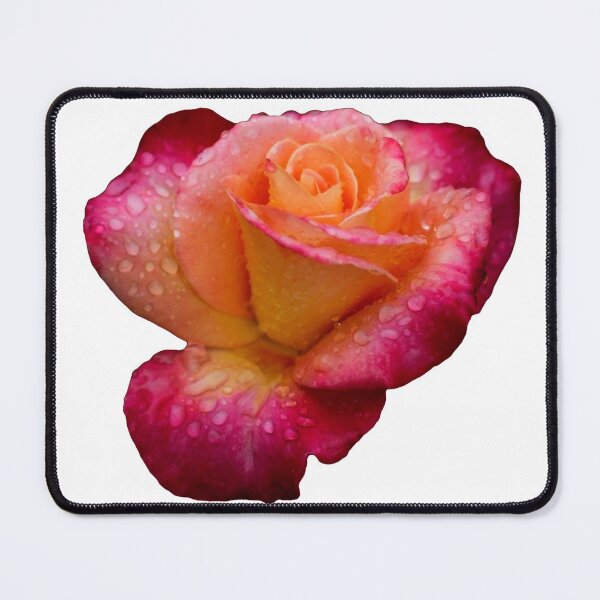 Item preview, Raindrops on Roses designed and sold by KPcaptures.