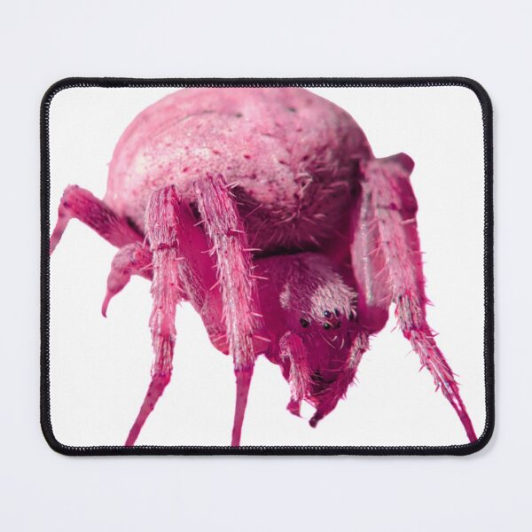 Item preview, Pink Spooder designed and sold by PinkysArtnBugs.