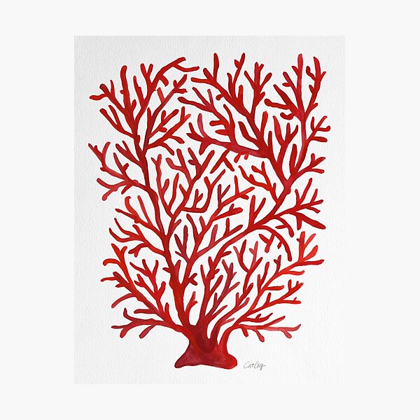 Item preview, Red Coral designed and sold by Cat Coquillette.