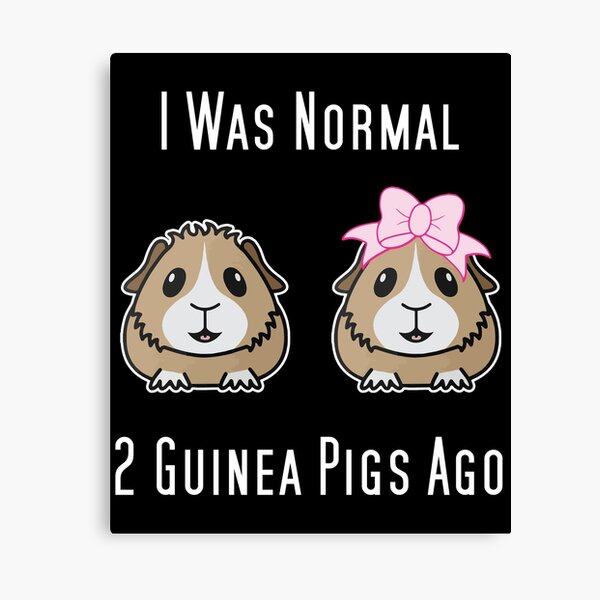 i was normal Guinea Pigs Ago