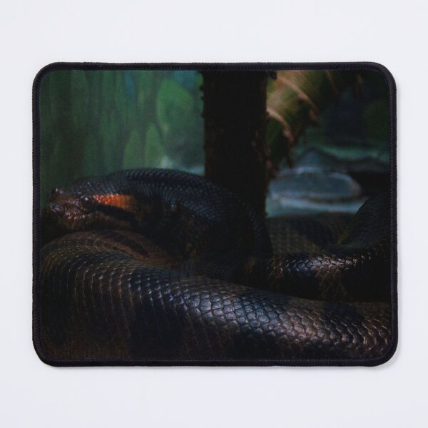 Item preview, Green Anaconda (Eunectes murinus) designed and sold by dbernadette930.