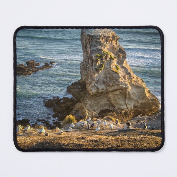 Item preview, Muriwai Gannets designed and sold by Ian Rushton.