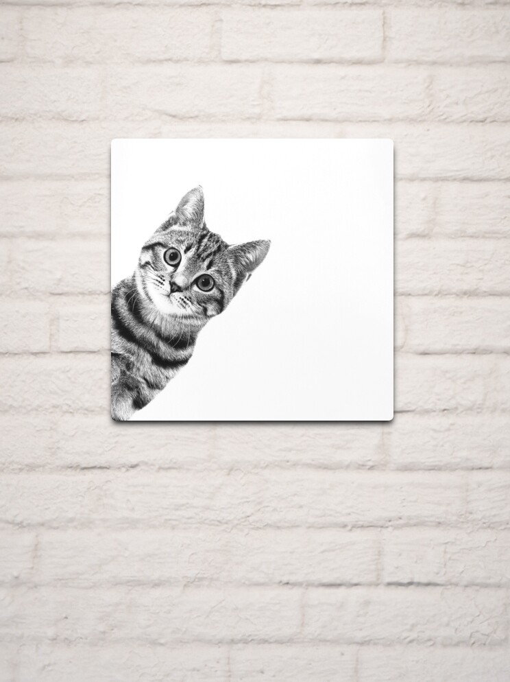 sneaky cat Art Print