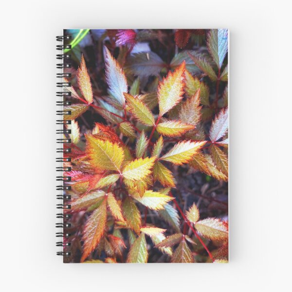 Item preview, Arbusto de astilby rosa resplandeciente de color designed and sold by NearScapes.