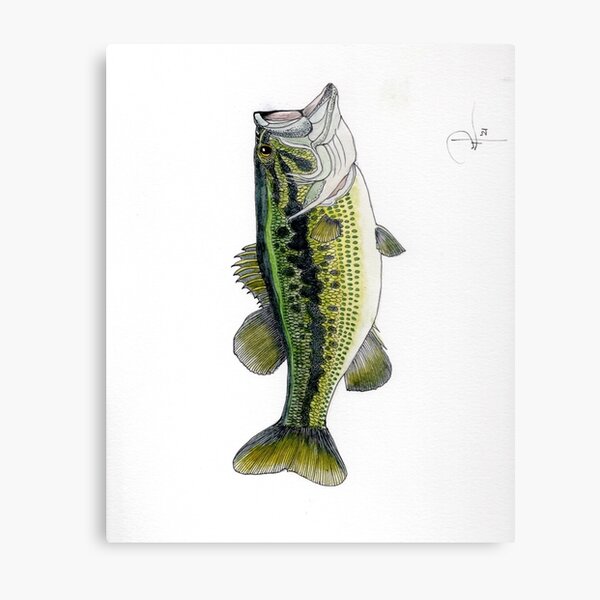 Largemouth Bass Fishing' Poster, picture, metal print, paint by Markus  Ziegler