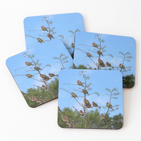 Item preview, Cedar Waxwings designed and sold by Lens2Canvas.