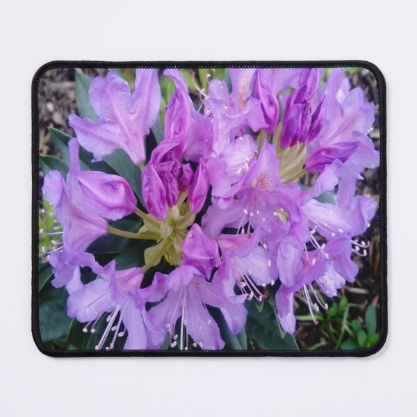 Item preview, Purple flower 01 designed and sold by Gotoo.