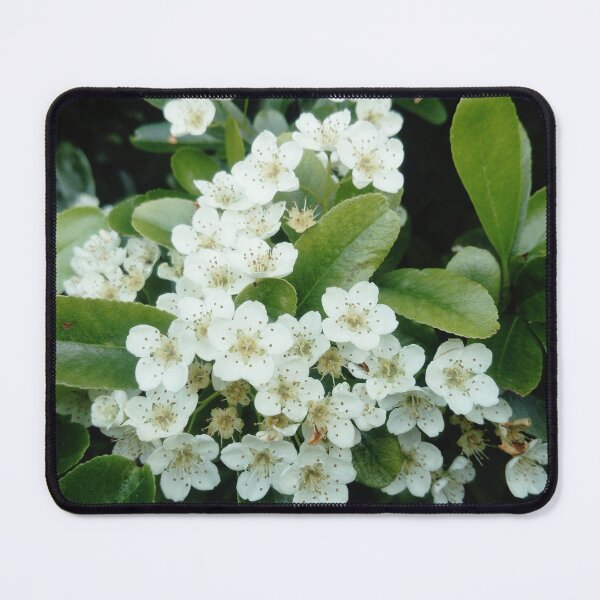 Item preview, Flower 12 white  designed and sold by Gotoo.